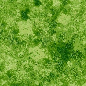 DE'S TEXTURE BASICS - TONE ON TONE - GREEN FILLED