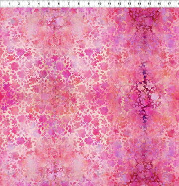 19EV-1_6a43f560-15dc-48c6-87ce-5ca5f39f5686_360x