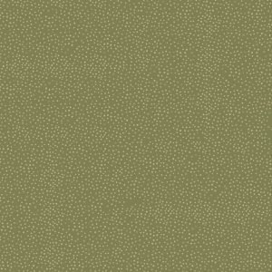 FAIRY GARDEN GREEN SPOT